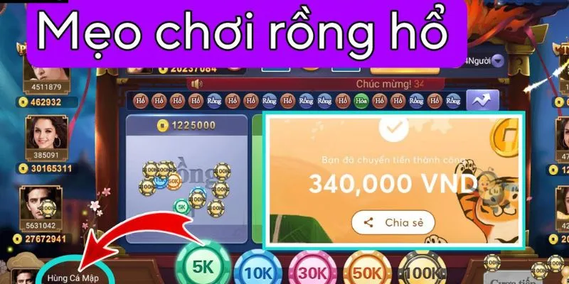 Lý do nên áp dụng chiến thuật chơi rồng hổ